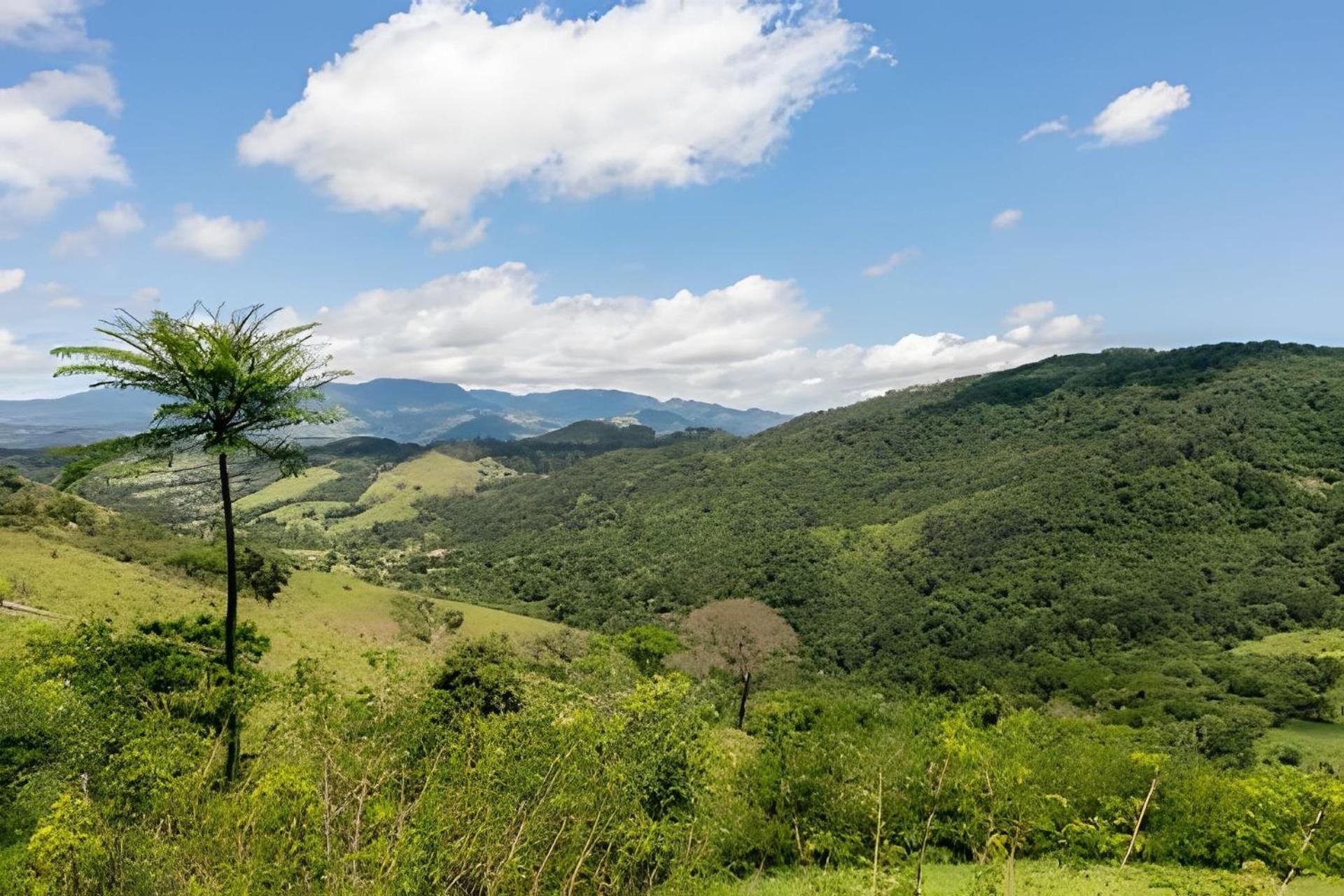 Casa De Pedra, Charme E Conforto Chalé *